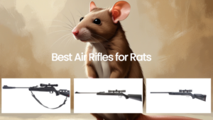 8 Best Air Rifles for Rats - Outdoor Moran