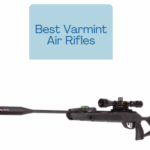 Best Varmint Air Rifles