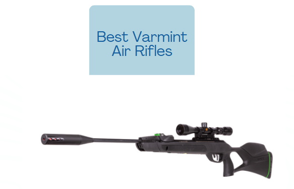 Best Varmint Air Rifles