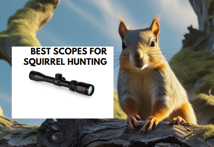 Best Scopes for Squirrel Hunting​