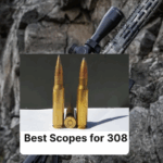 Best Scopes for 308