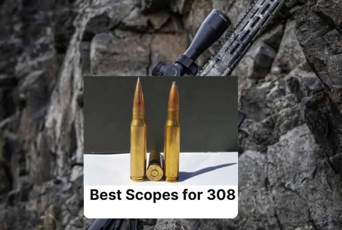 Best Scopes for 308