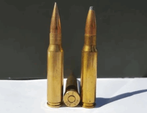 .308 Cartridge