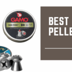 Best 22 Pellets