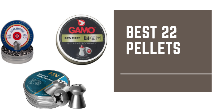 Best 22 Pellets