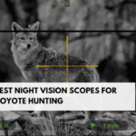 Best Night Vision Scopes for Coyote Hunting
