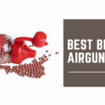 Best BBs for Airguns