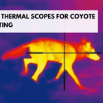Best Thermal Scopes for Coyote Hunting