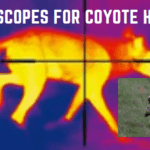 Best Scopes for Coyote Hunting