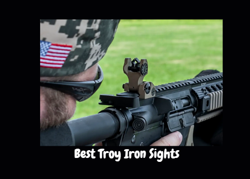 Best Troy Iron Sights