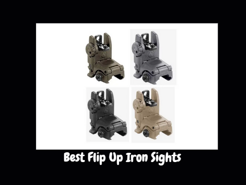 Best Flip Up Iron Sights