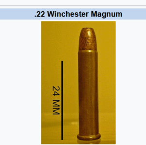 .22 Winchester Magnum Rimfire