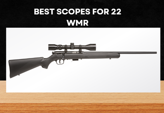 Best Scopes for 22 WMR
