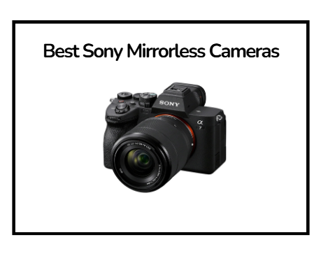 Best Sony Mirrorless Cameras