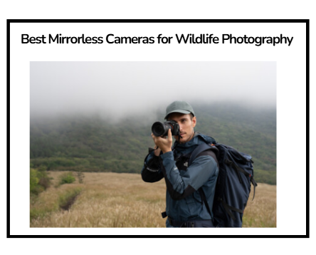 Best Mirrorless Cameras for Wildlife Photography