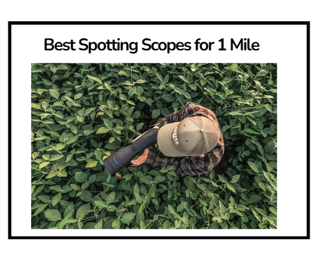 Best Spotting Scopes for 1 Mile