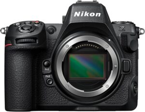 Best Mirrorless Camera for Professionals
