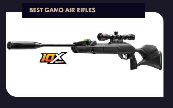 Best Gamo Air Rifles