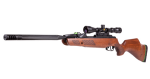 Gamo Swarm Bone Collector 10x Gen 3i Air Rifle