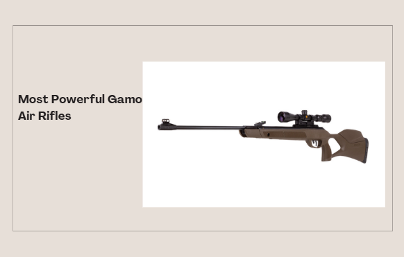 Most Powerful Gamo Air Rifles