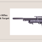 Best PCP Air Rifles for Hunting & Target Shooting