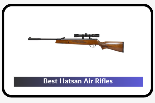 Best Hatsan Air Rifles