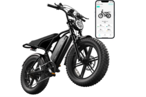 TST Fat Tire All-Terrain Electric Bike