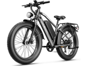 Jasion EB5 MAX Electric Bike
