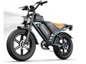 DEEPOWER Electric Bike