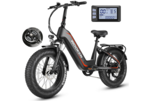 Wooken Electric Bike