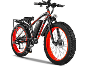 EOEOTWO Fat Tire Electric Bike