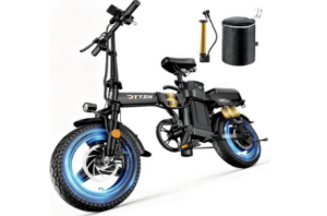 DTTZH 1000W 28MPH Foldable Ebike