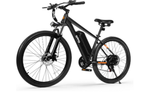 Qlife Electric Mountain Bike