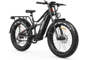 FREESKY Fat Tire Dirt Mountain E Bike