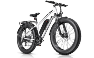 Funhang Mountain Electric Bike