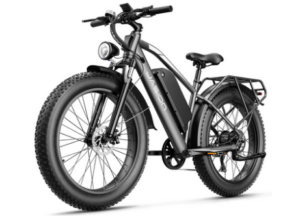 Jasion EB5 MAX Electric Mountain Bike