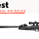 Best Gamo 22 Cal Air Rifles