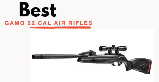 Best Gamo 22 Cal Air Rifles