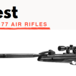 Best Gamo 177 Air Rifles