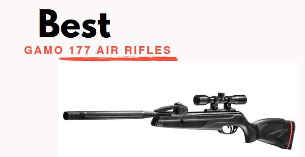 Best Gamo 177 Air Rifles