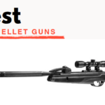 Best Gamo Pellet Guns