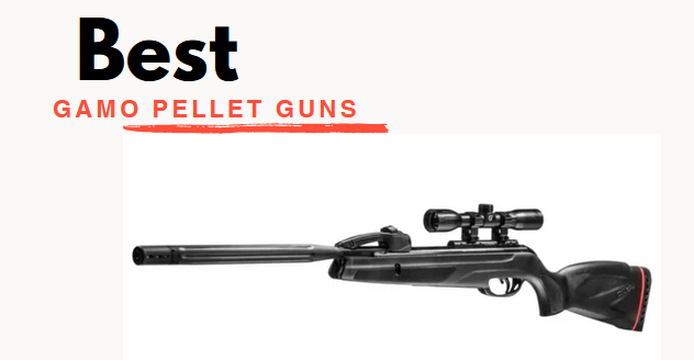 Best Gamo Pellet Guns
