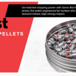 Best Gamo Pellets