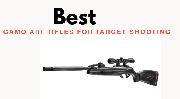 Best Gamo Air Rifles for Target Shooting