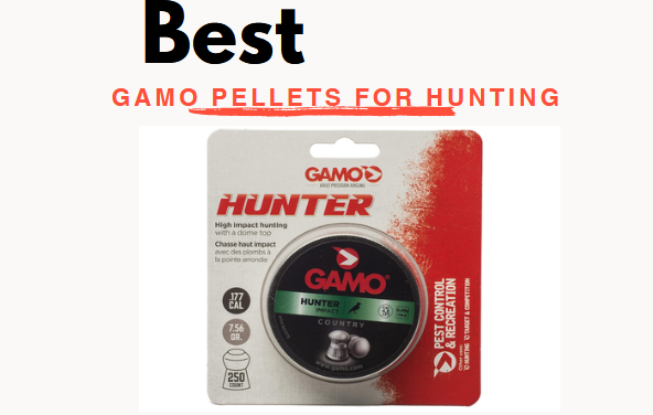 Best Gamo Pellets for Hunting
