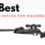 Best Gamo Air Rifles for Squirrel Hunting
