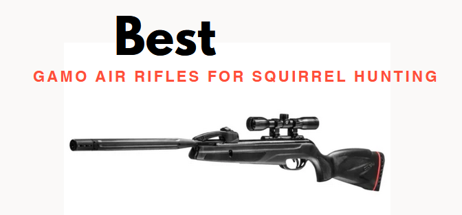 Best Gamo Air Rifles for Squirrel Hunting