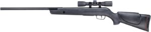 best Gamo air rifles for squirrel hunting