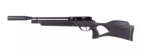 best Gamo 22 Cal air rifles