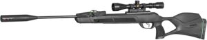 best Gamo air rifles for squirrel hunting